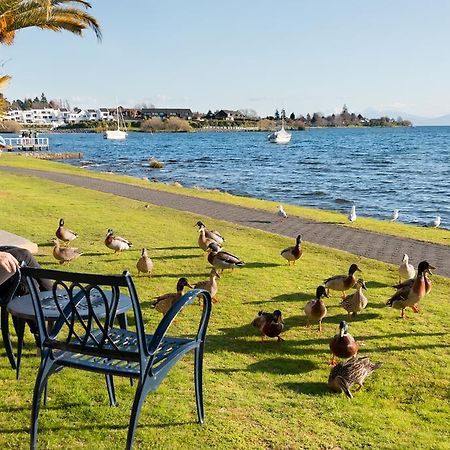 Oasis Beach Motel Taupo Ngoại thất bức ảnh